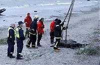 TopRq.com search results: Moose rescue operation, Tallinn, Estonia