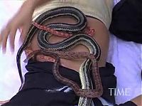 Fauna & Flora: snake massage
