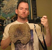 TopRq.com search results: Wasp nest collection by Terry Prouty