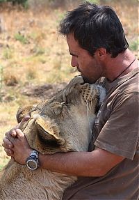 TopRq.com search results: The Lion Whisperer - Kevin Richardson