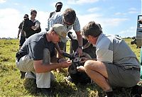 Fauna & Flora: Rescuing rhinoceros, Kruger National Park, South Africa