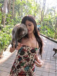 TopRq.com search results: monkeys like the girl