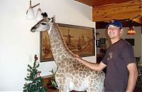 TopRq.com search results: pet giraffe