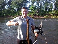 Fauna & Flora: Giant lamprey caught in New Jersey, United States