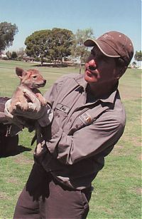 Fauna & Flora: coyote rescued from cholla cactus