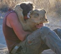 TopRq.com search results: Living with lions by Nicolai Frederik Bonnén Rossen, Kalahari desert of Botswana