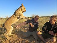 Fauna & Flora: Living with lions by Nicolai Frederik Bonnén Rossen, Kalahari desert of Botswana