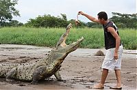 Fauna & Flora: Crocodile river adventure, Tarcoles River, Tarcoles, Costa Rica