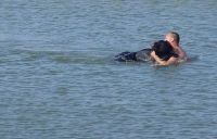 TopRq.com search results: saving a bear from drowning