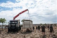 TopRq.com search results: Rescuing rhinoceros, Kruger National Park, South Africa