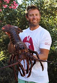 Fauna & Flora: Giant lobster crustacean by David Galante