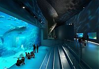 TopRq.com search results: The Blue Planet, National Aquarium Denmark, Kastrup, Denmark