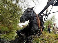 Fauna & Flora: Horse saved from a deadly muddy pond, Radcliffe, Greater Manchester, United Kingdom