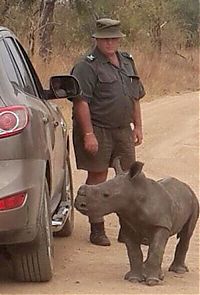Fauna & Flora: baby rhino searching for his mother
