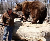 Fauna & Flora: man living with orphaned bears