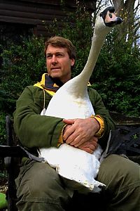 TopRq.com search results: swan pet