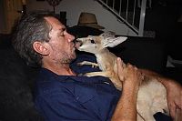 TopRq.com search results: Rescuing kangaroos, Kangaroo Dundee, Chris Brolga Barns
