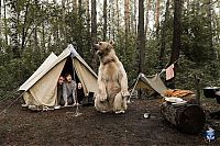 TopRq.com search results: pet bear with a family