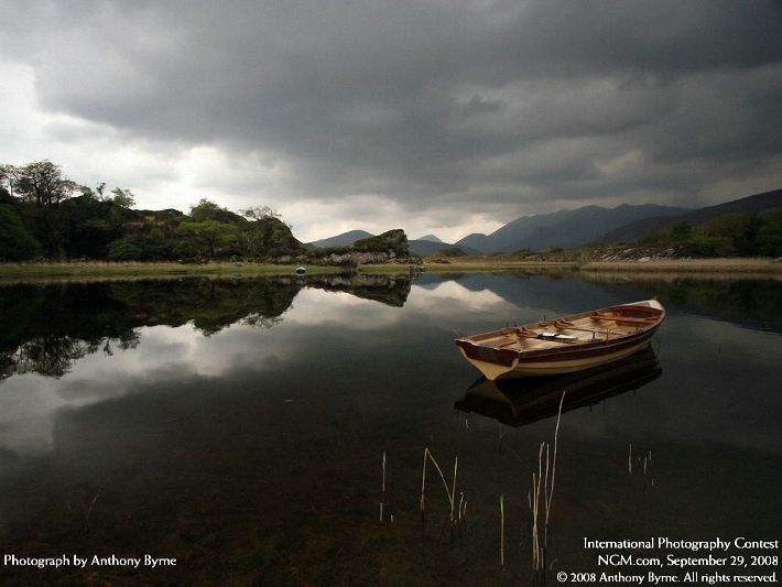 Photos from the International Photography Contest