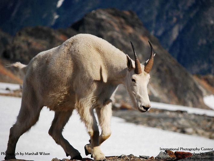 Photos from the International Photography Contest