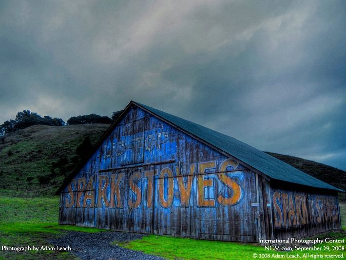 Photos from the International Photography Contest