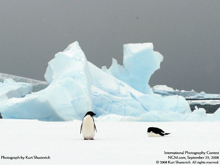 Photos from the International Photography Contest