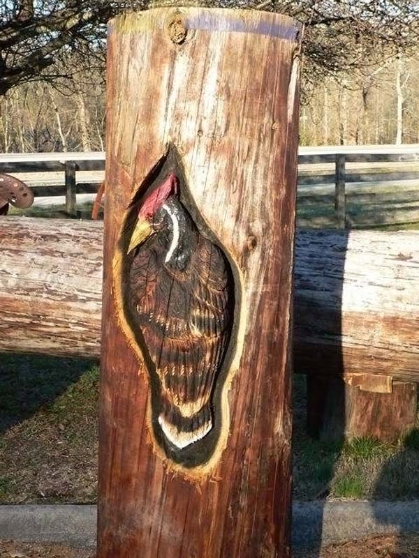 Wood sculptures made by chainsaw