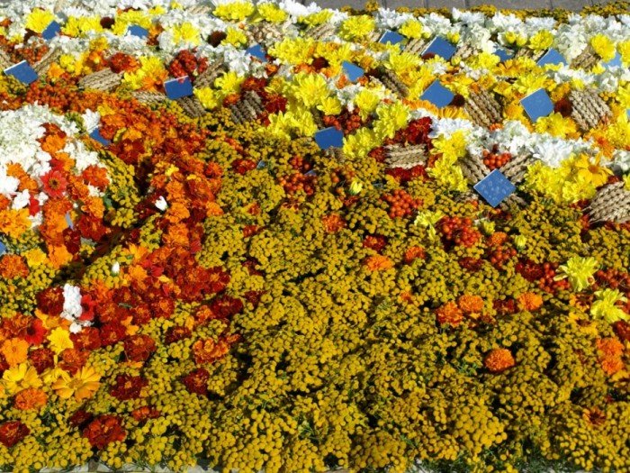 Flower carpets