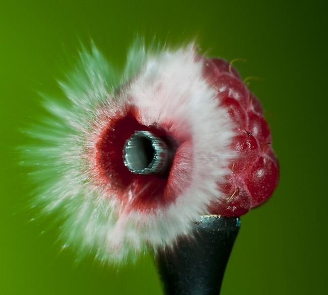 High-speed photography art with Nikon D40