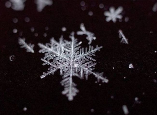 snow flakes