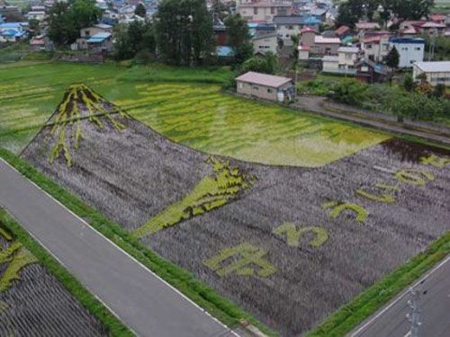 japanese rice pictures