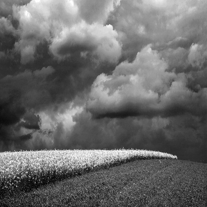 black and white landscape photography