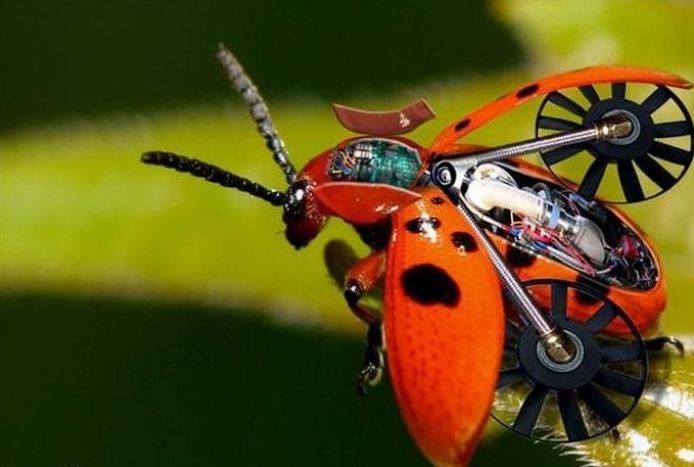 cyborg animal and insect