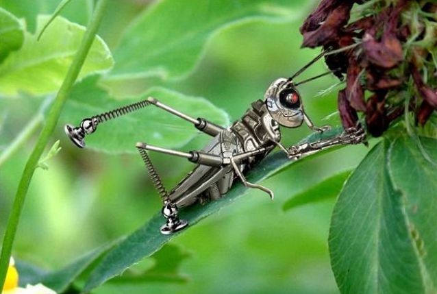 cyborg animal and insect