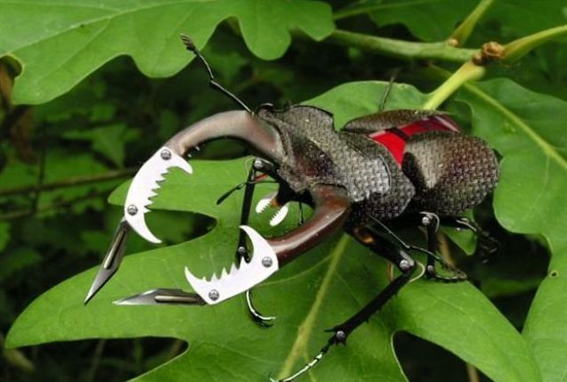 cyborg animal and insect