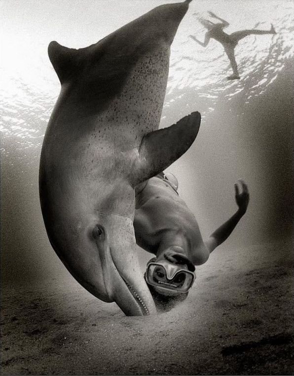 underwater photography