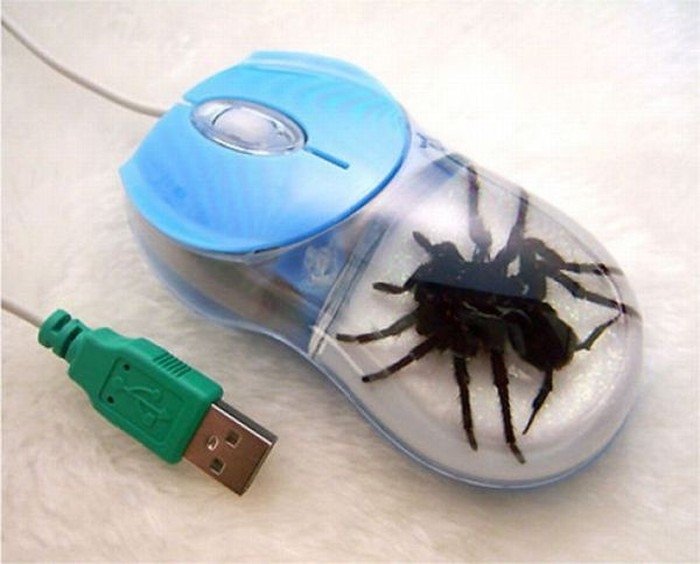 unusual computer mouse