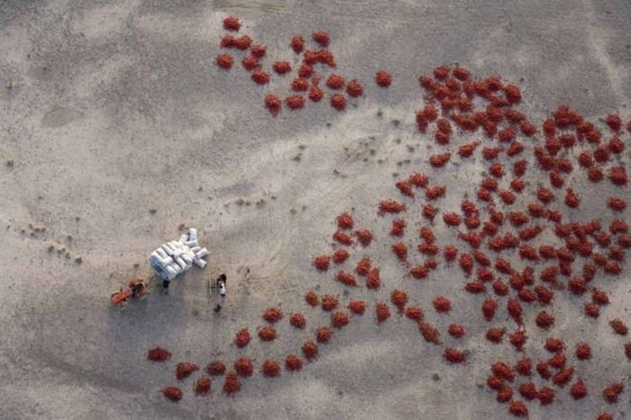 Aerial photography by George Steinmetz