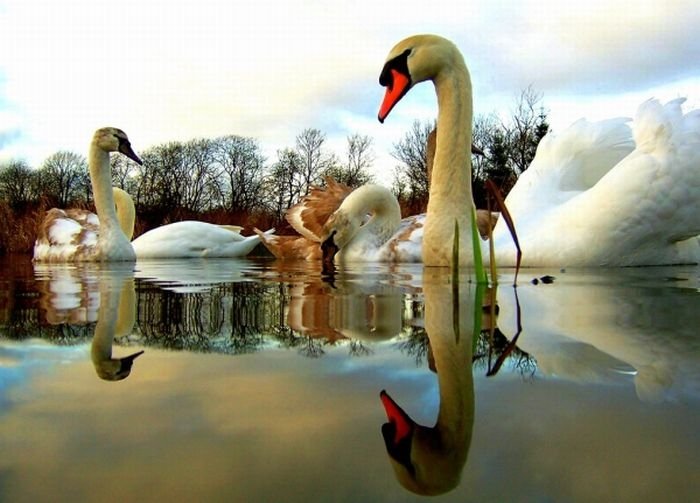 reflection photography