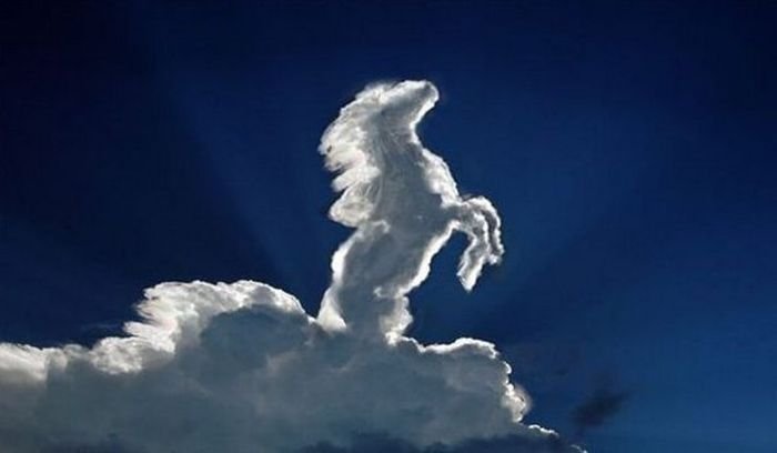 clouds formation creates a horse