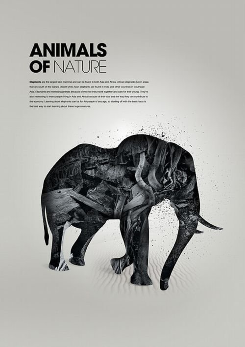 animals in art