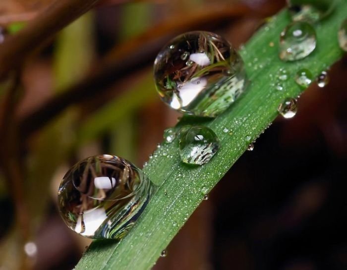 waterdrops in the nature