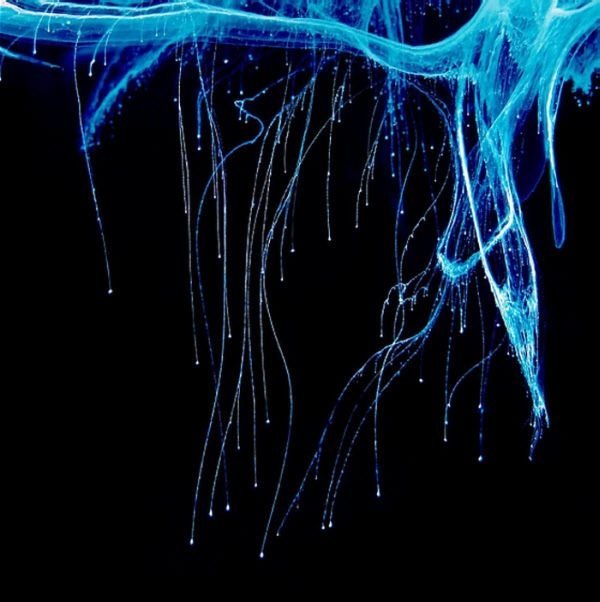 Aqua splash art by Mark Mawson