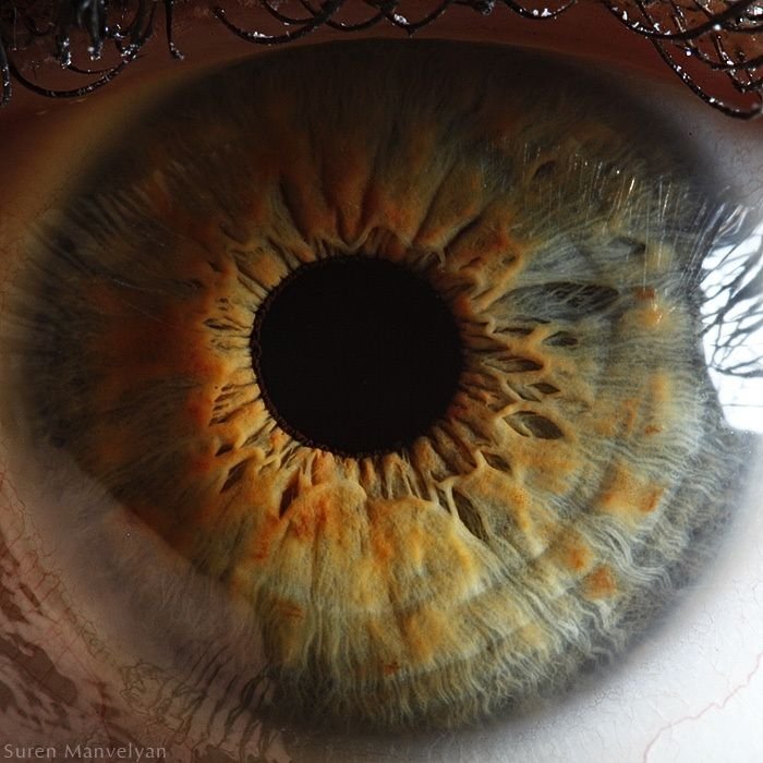 Macro eye by Suren Manvelyan