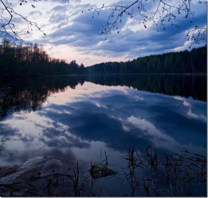 reflections in water