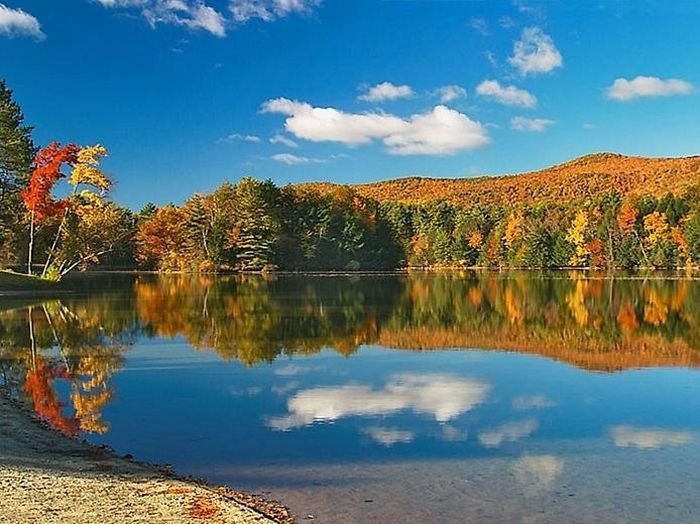 reflections in water