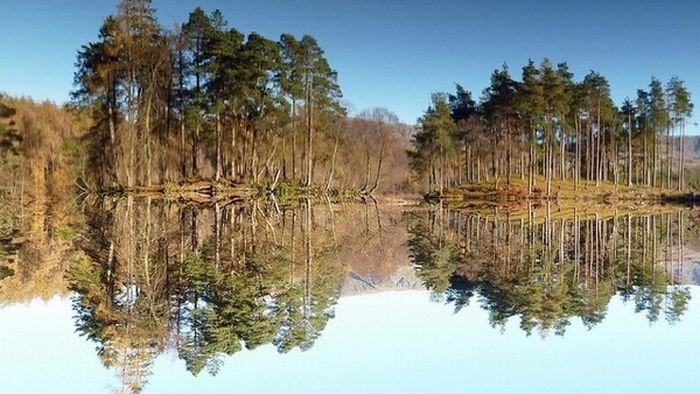 reflection in water