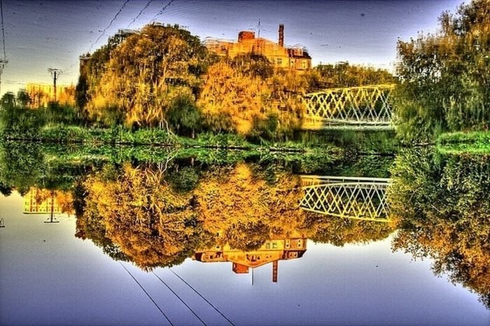 reflection in water