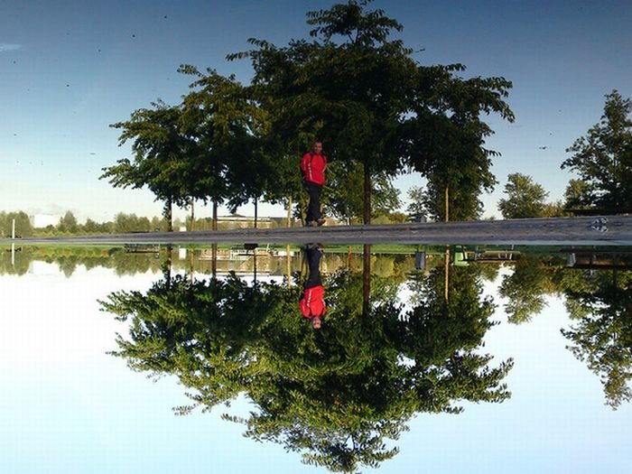 reflection in water