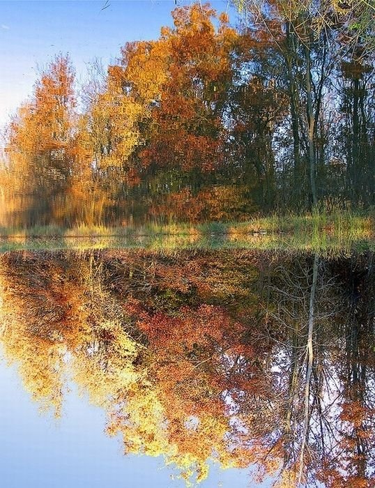 reflection in water